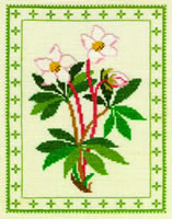 Julerose