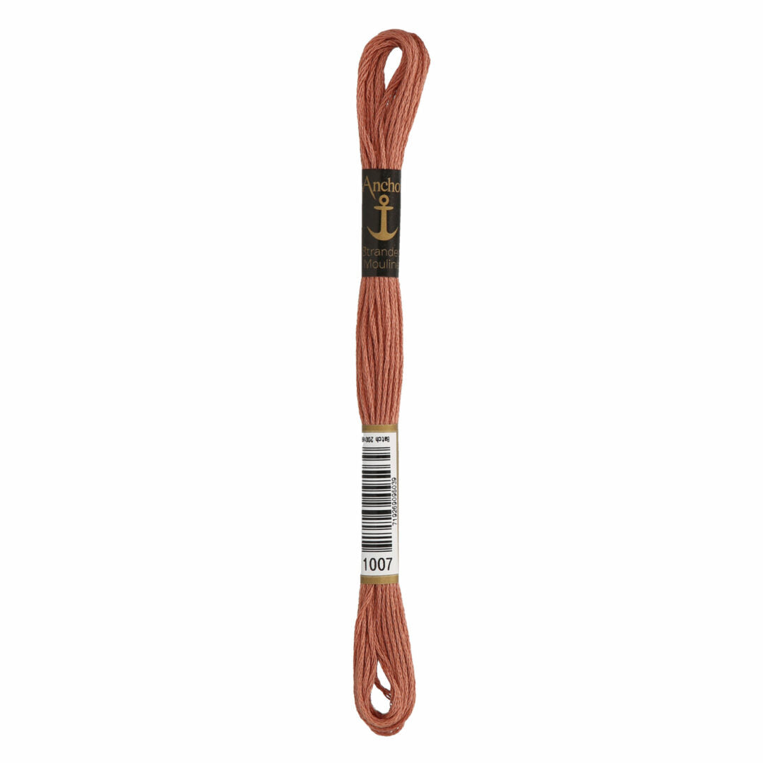 1007 Anchor Mouliné