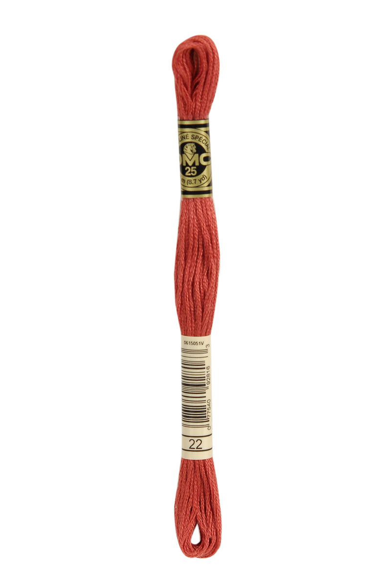 22 DMC Mouliné