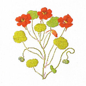 Nasturtium