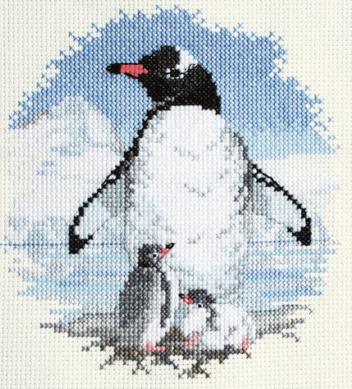 Penguine and Chicks