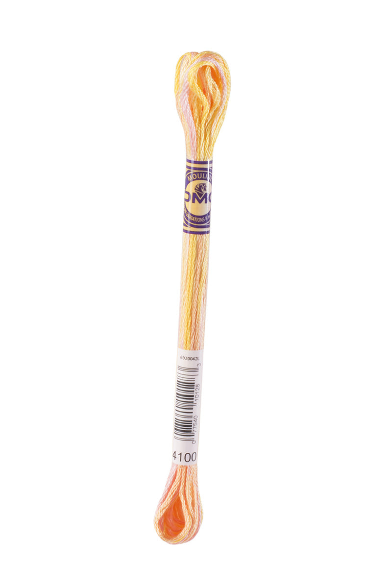 4100 DMC Mouliné Varigated