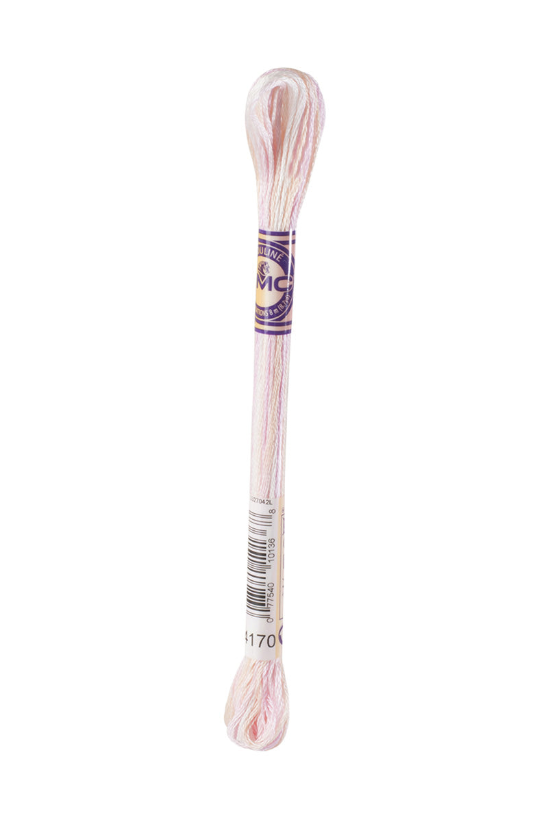 4170 DMC Mouliné Varigated