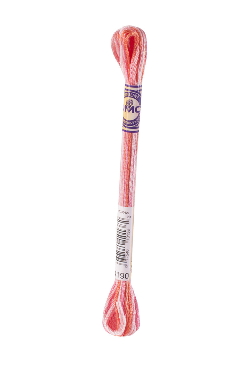 4190 DMC Mouliné Varigated