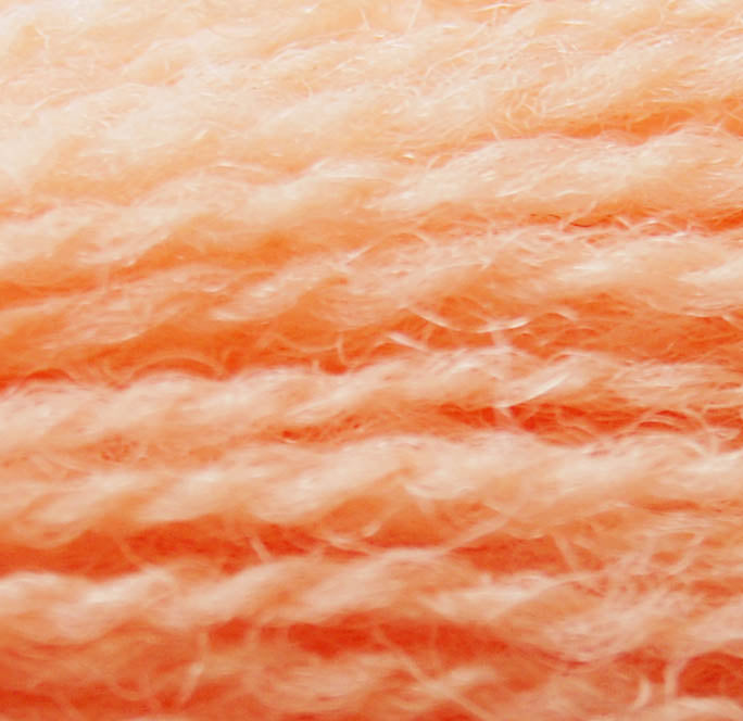 861 Coral Appletons Crewel