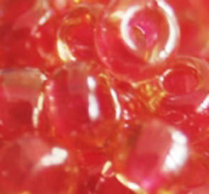 11-373 Dark Rose Lined Light Topas Luster