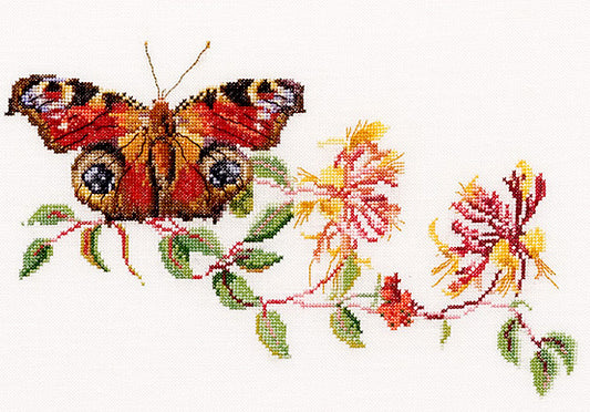 Butterfly and Honeysuckle