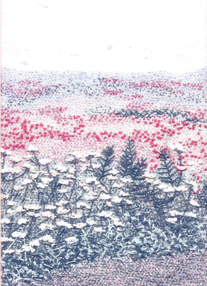Poppy Field