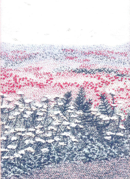 Poppy Field